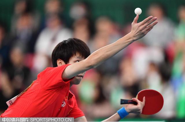 奥地利队完胜瑞典队，梁靖崑点燃赛场