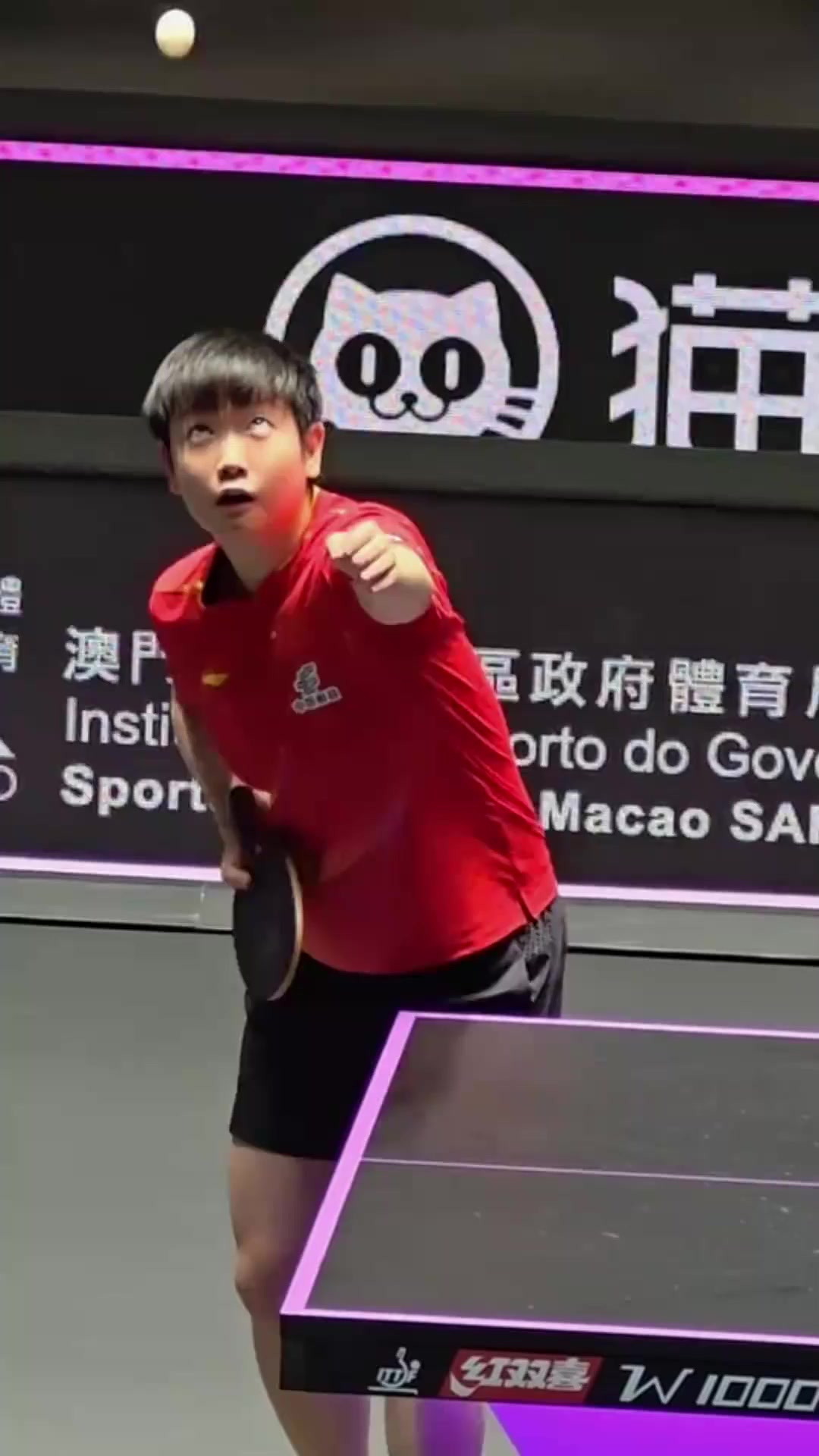 法国羽毛球队逆转日本羽毛球队,马琳统治全场 法国羽毛球队逆转日本羽毛球队,马琳统治全场