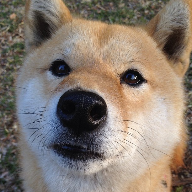 跨界传奇，马刺血拼雷霆之夜，克莱欧冠半决赛接管比赛